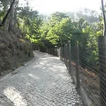 Vakantiehuis Casa Velha *