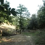Vakantiehuis Casa Velha