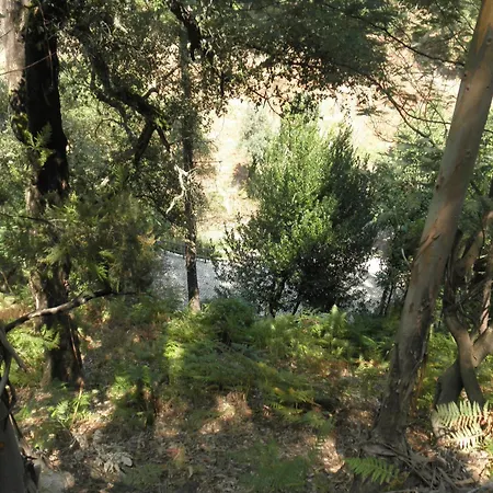 Casa Velha Σπίτι διακοπών Figueiro Dos Vinhos