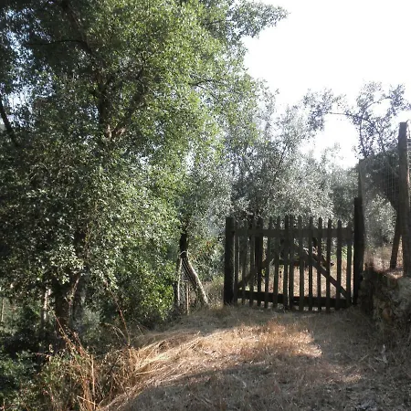 Casa Velha *