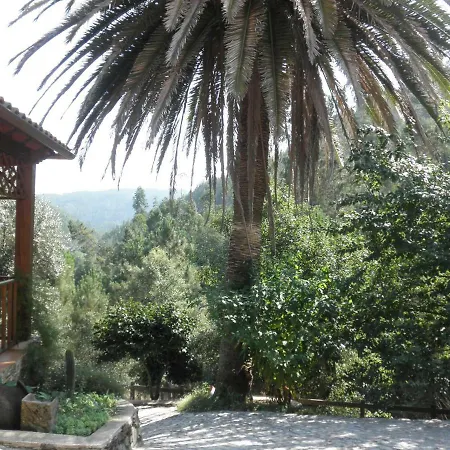 Casa Velha Nyaraló Figueiró dos Vinhos