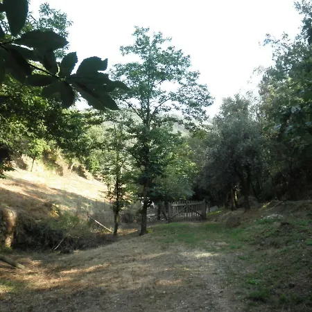 בית נופש Casa Velha