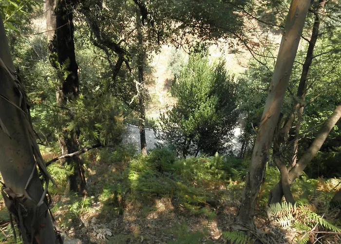 Casa Velha Casa vacanze Figueiro Dos Vinhos