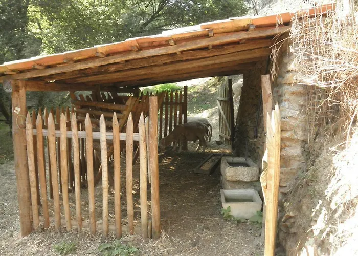 Casa vacanze Casa Velha