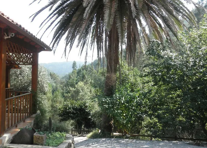 Casa Velha Casa vacanze Figueiro Dos Vinhos